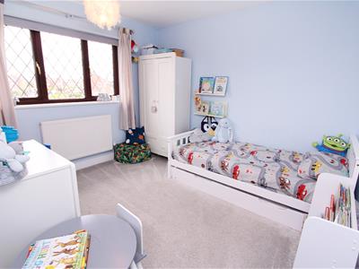 Picture 17